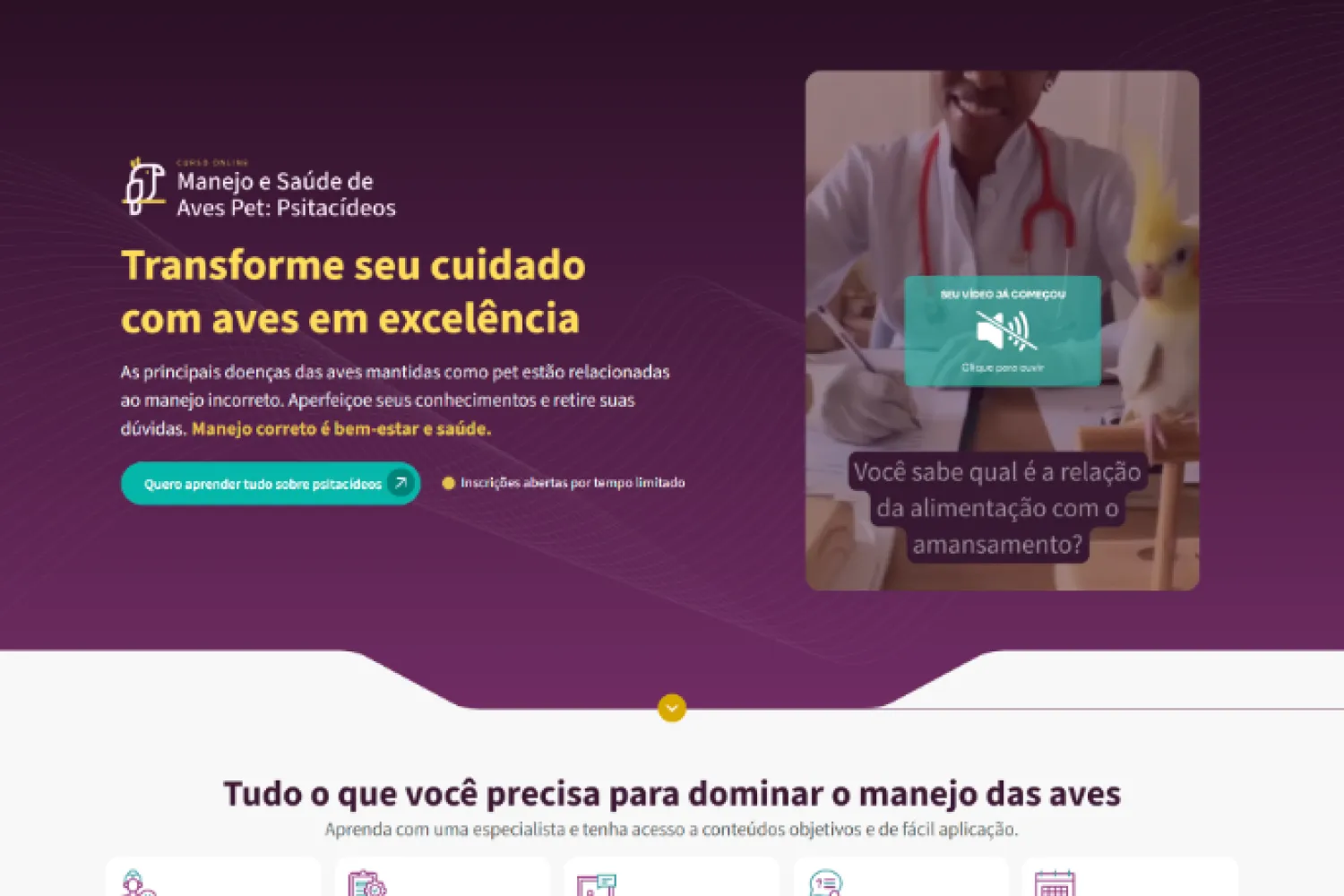 vet_ex_tica_curso_studio_mok_i_1x